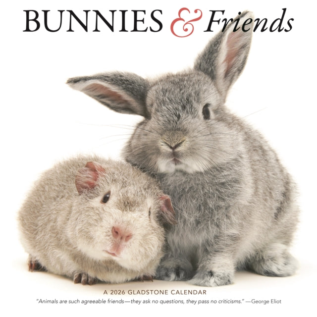Bunnies Friends Square Wall Sunday Start