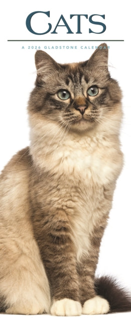 Cats Deluxe Slim Sunday Start Calendar 2