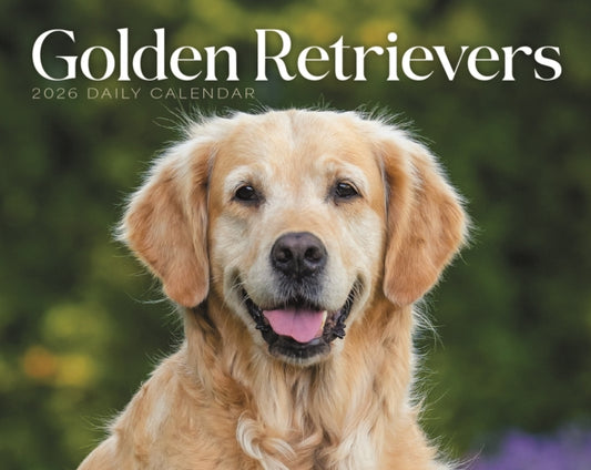 Goldens Retrievers Box Calendar 2026