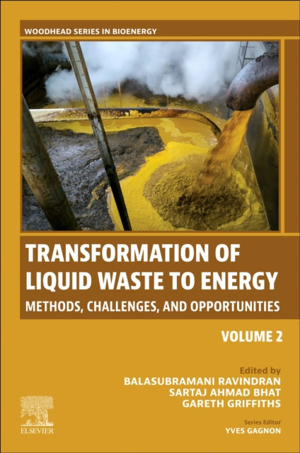 Transformation of Liquid Waste to Energy: Methods, Challenges, and Opportunities