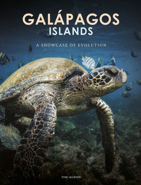 Galapagos Islands: A Showcase of Evolution
