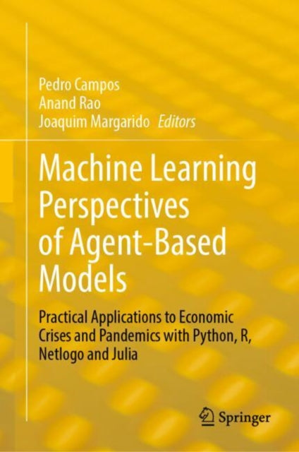 Machine Learning Perspectives of Agent-Based Models: Practical Applications to Economic Crises and Pandemics with Python, R, Netlogo and Julia