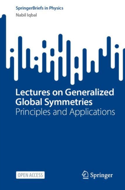Lectures on Generalized Global Symmetries: Principles and Applications