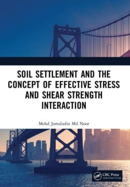 Soil Settlement and the Concept of Effective Stress and Shear Strength Interaction