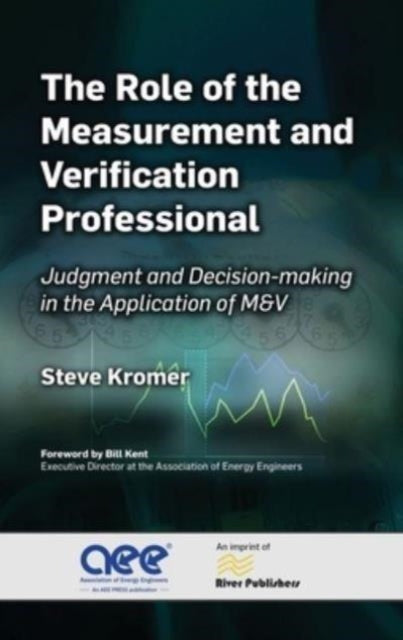 The Role of the Measurement and Verification Professional: Judgment and Decision-making in the Application of M&V