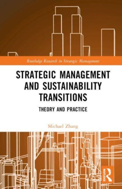 Strategic Management and Sustainability Transitions: Theory and Practice