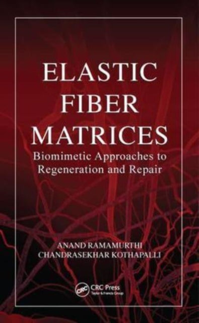Elastic Fiber Matrices: Biomimetic Approaches to Regeneration and Repair