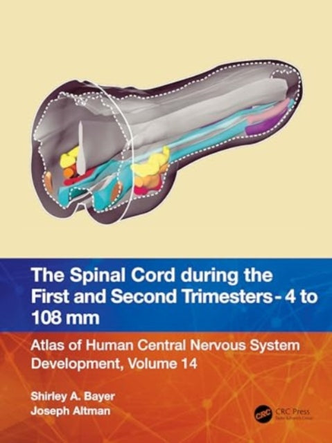 The Spinal Cord during the First and Early Second Trimesters 4- to 108-mm Crown-Rump Lengths: Atlas of Human Central Nervous System Development, Volume 14