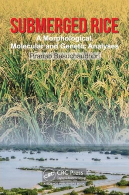 Submerged Rice: Morphological, Molecular and Genetic Analyses