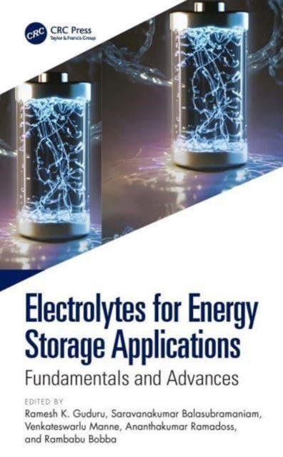 Electrolytes for Energy Storage Applications: Fundamentals and Advances