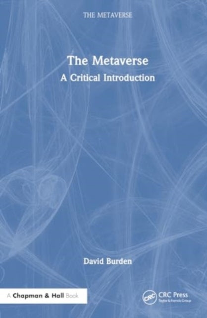 The Metaverse: A Critical Introduction