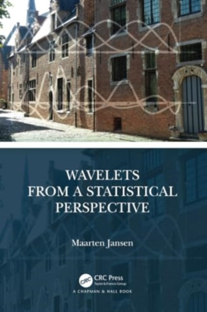 Wavelets from a Statistical Perspective