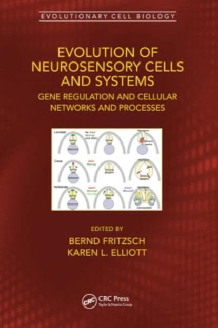 Evolution of Neurosensory Cells and Systems: Gene regulation and cellular networks and processes