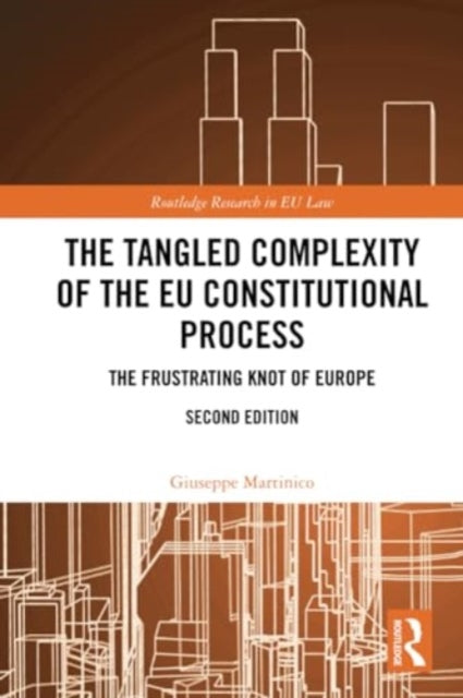 The Tangled Complexity of the EU Constitutional Process: The Frustrating Knot of Europe