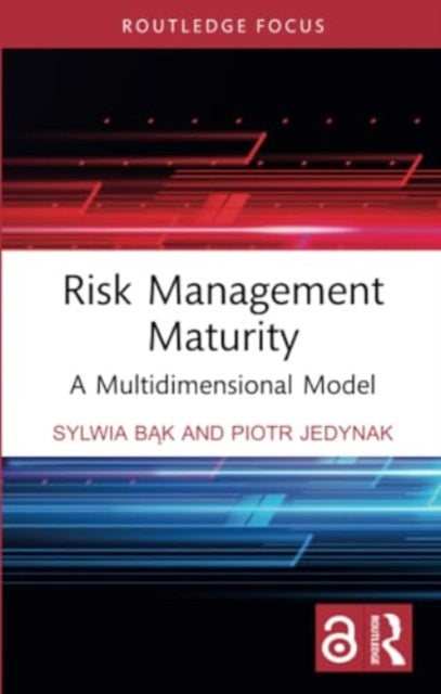 Risk Management Maturity: A Multidimensional Model