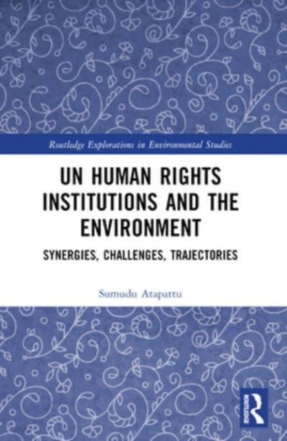 UN Human Rights Institutions and the Environment: Synergies, Challenges, Trajectories