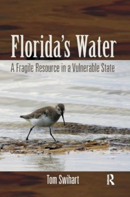 Florida's Water: A Fragile Resource in a Vulnerable State