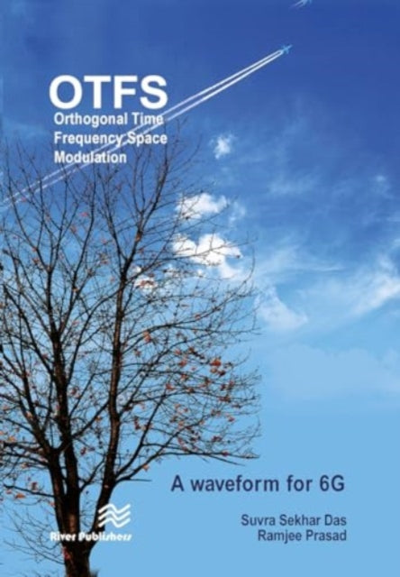 Orthogonal Time Frequency Space Modulation: OTFS a waveform for 6G