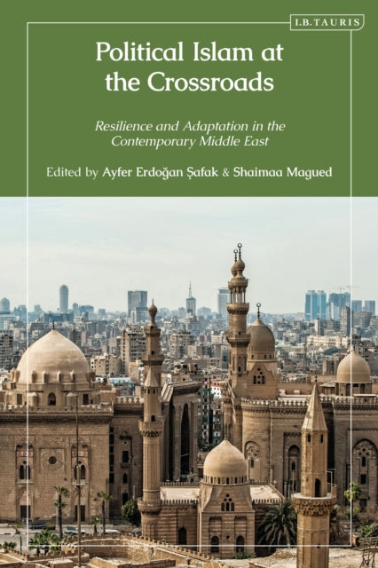Political Islam at the Crossroads: Resilience and Adaptation in the Contemporary Middle East