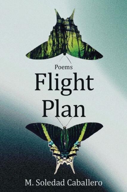 Flight Plan: Poems