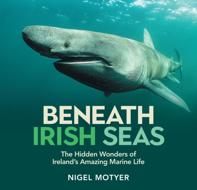 Beneath Irish Seas: The Hidden Wonders of Ireland’s Amazing Marine Life