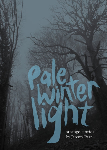 Pale Winter Light