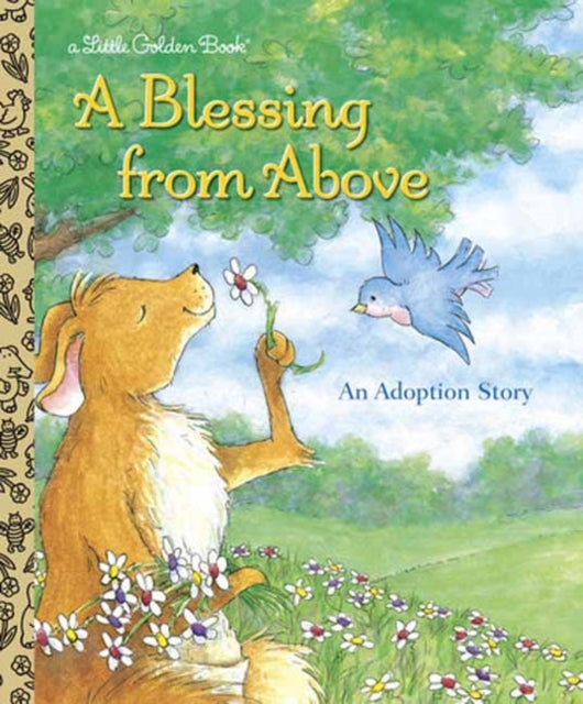A Blessing from Above: An Adoption Story