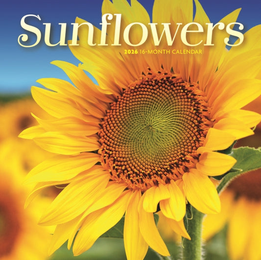 Sunflowers Square Mini Sunday Start Cale