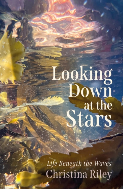 Looking Down at the Stars: Life beneath the waves