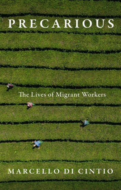 Precarious: The Secret Lives of Migrant Workers
