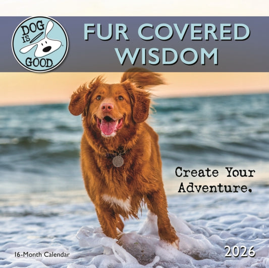 Dog Is Good Fur Covered Wisdom Square Wa