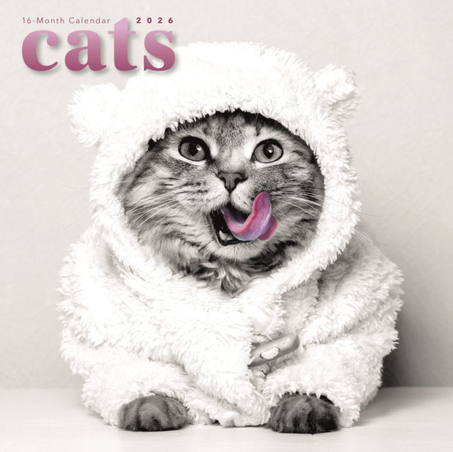 Cats Square Wall Sunday Start Calendar 2