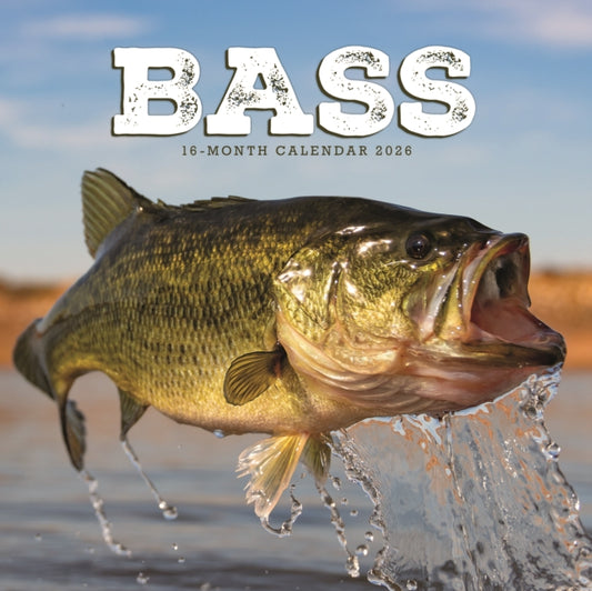 Bass Square Wall Sunday Start Calendar 2