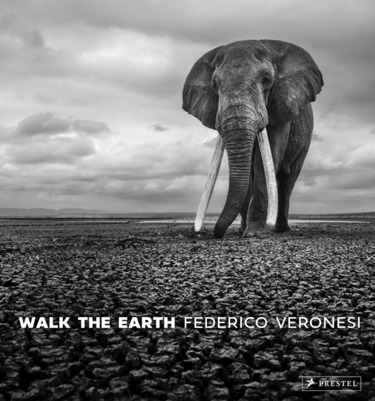 Walk the Earth: Photographs of Africa's Last Great Elephants