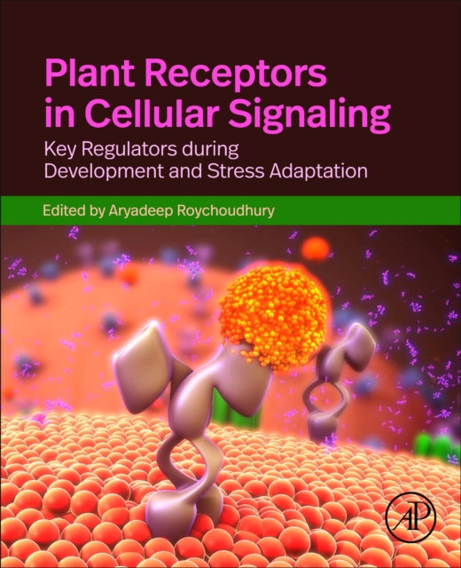 Plant Receptors in Cellular Signaling: Key Regulators of Development and Stress Adaptation