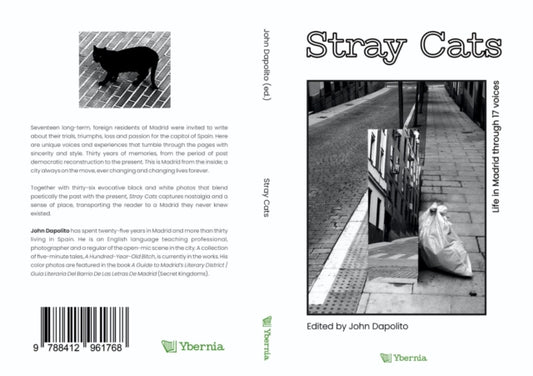 Stray Cats: Life in Madrid through 17 voices