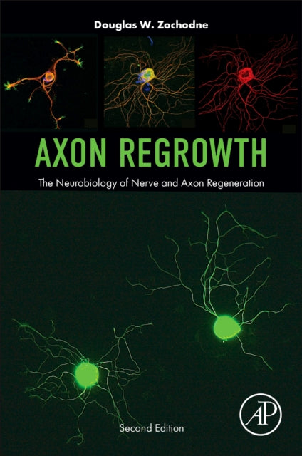 Axon Regrowth: The Neurobiology of Nerve and Axon Regeneration