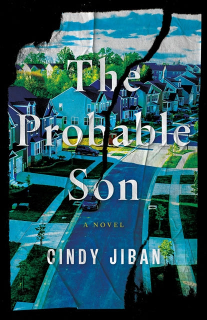 The Probable Son: A Novel