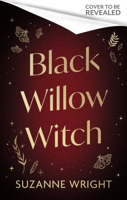 Black Willow Witch: Your new spicy small town paranormal romance obsession
