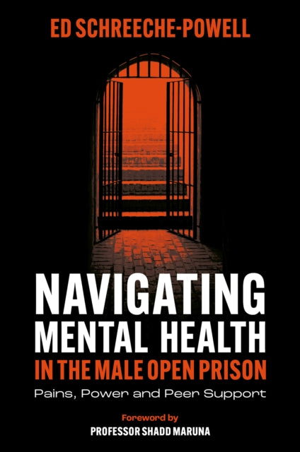 Navigating Mental Health in the Male Open Prison: Pains, Power and Peer Support