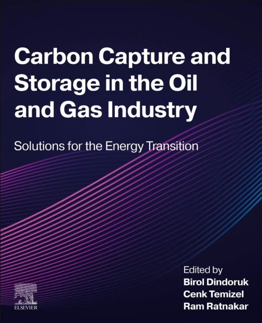 Carbon Capture and Storage in the Oil and Gas Industry: Solutions for the Energy Transition