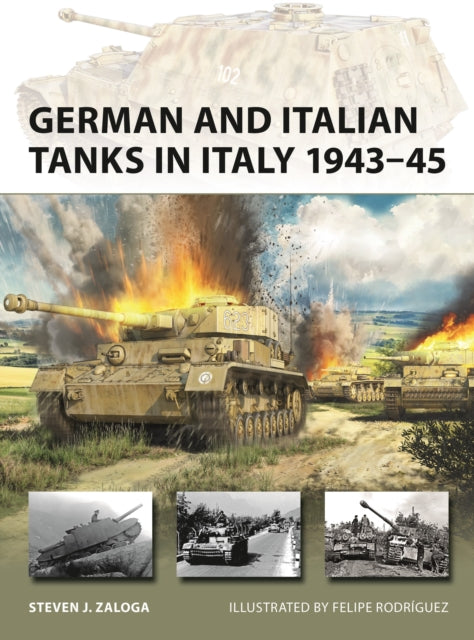 German and Italian Tanks in Italy 1943–45