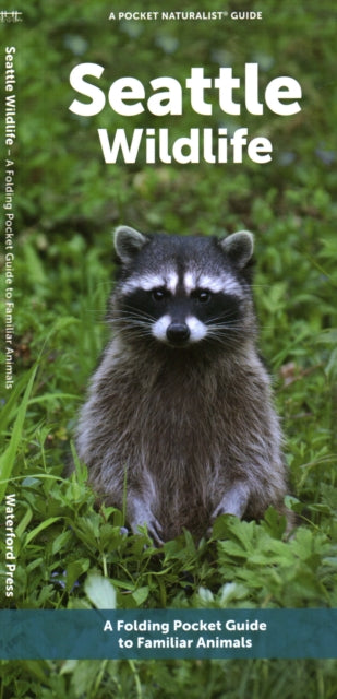 Seattle Wildlife
