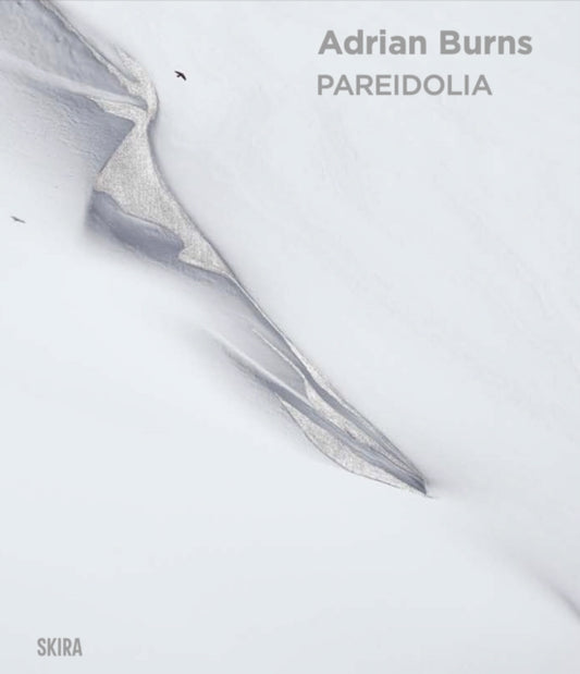 Pareidolia: Adrian Burns (Bilingual edition)