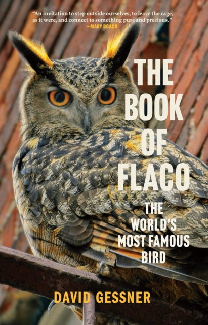 The Book of Flaco: A Parable of the Urban Wild