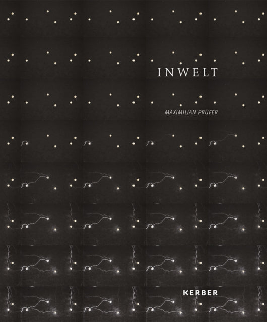 Maximilian Prufer: Inwelt