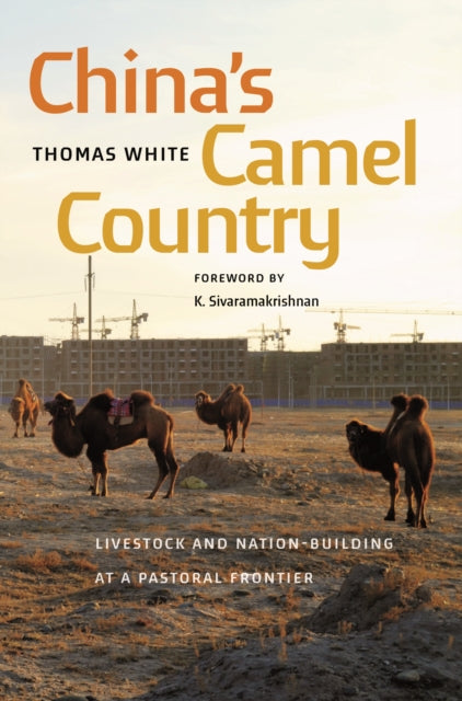 China's Camel Country: Livestock and Nation-Building at a Pastoral Frontier