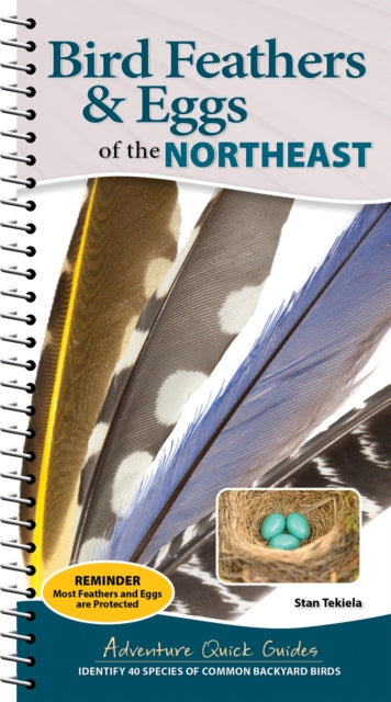 Bird Feathers & Eggs of the Northeast: Identify 40 Species of Common Backyard Birds