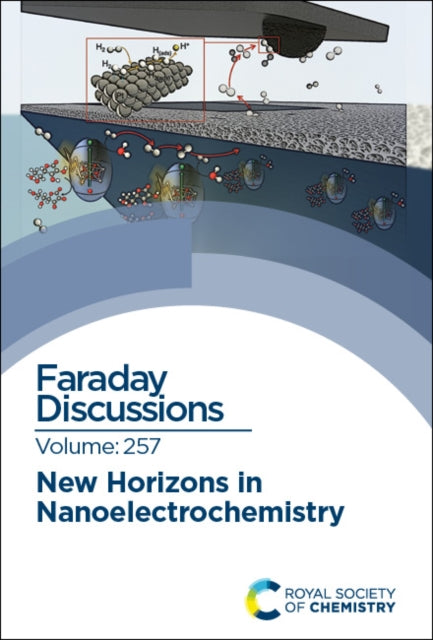 New Horizons in Nanoelectrochemistry: Faraday Discussion 257