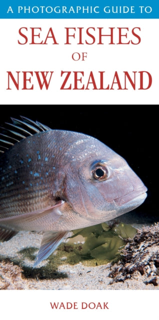 A Photographic Guide to Seafish of New Zealand